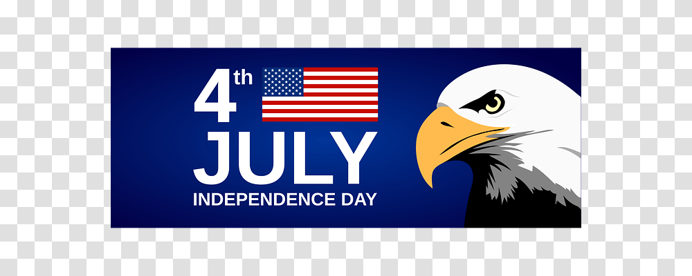 United States Holiday, Eagle, Bird, Animal Transparent Png