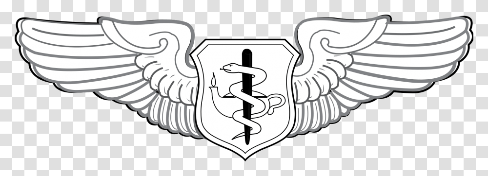 United States Air Force Flight Nurse Badge Senior Enlisted Aircrew Wings, Armor, Shield, Emblem Transparent Png