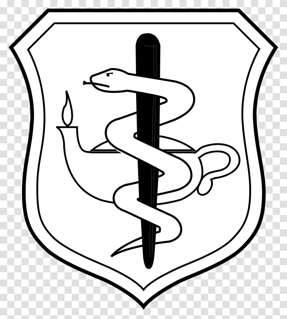 United States Air Force Nurse Corps Badge, Shield, Armor Transparent Png
