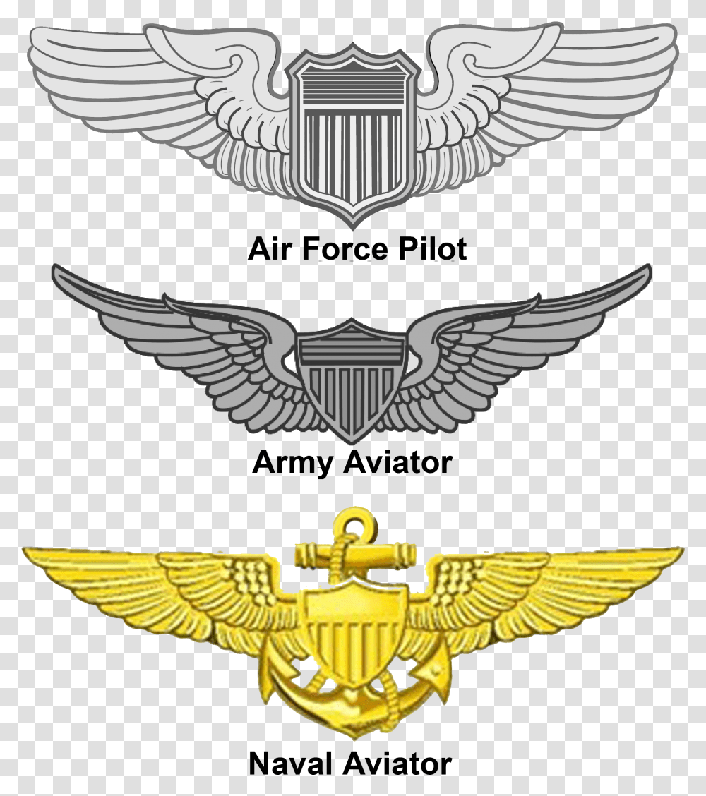 United States Aviator Badge Aviator Badge, Eagle, Bird, Animal Transparent Png