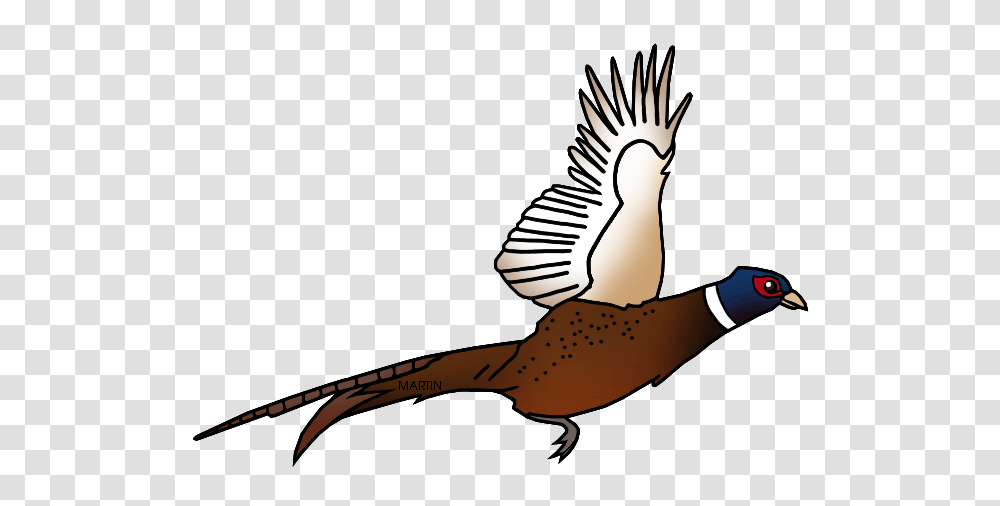 United States Clip Art, Animal, Bird, Flying, Person Transparent Png
