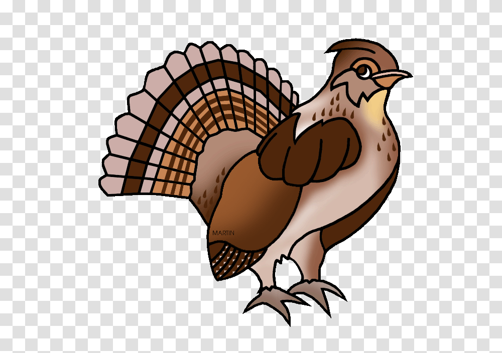 United States Clip Art, Animal, Bird, Turkey Bird, Poultry Transparent Png