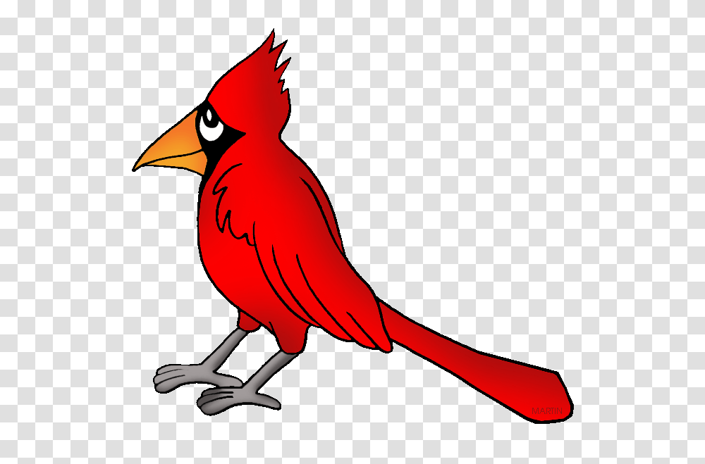 United States Clip Art, Animal, Cardinal, Bird, Blow Dryer Transparent Png