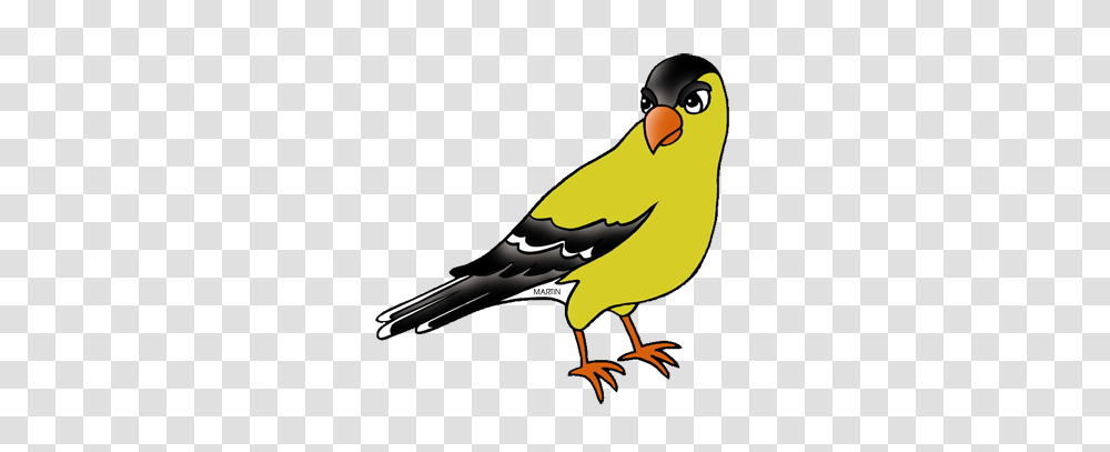 United States Clip Art, Bird, Animal, Canary, Finch Transparent Png