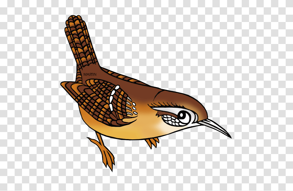 United States Clip Art, Bird, Animal, Sport, Sports Transparent Png