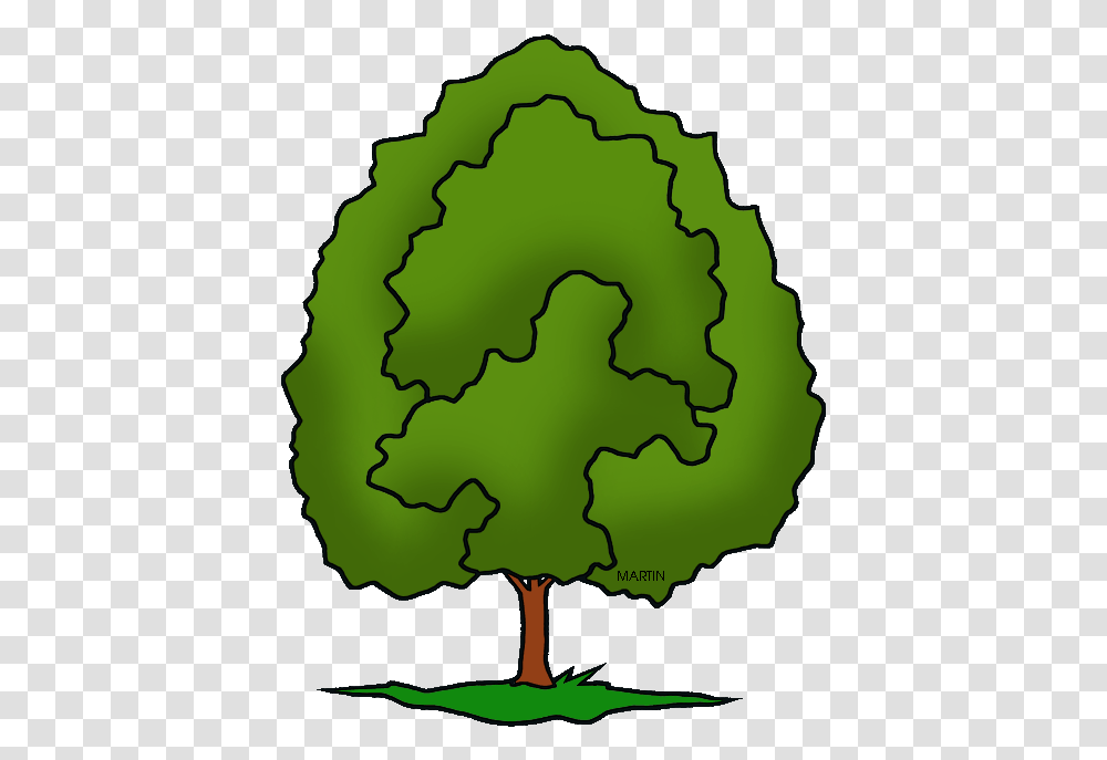 United States Clip Art By Phillip Martin Illinois Draw Illinois State Tree, Sphere, Green, Person, Human Transparent Png