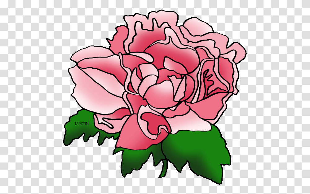United States Clip Art By Phillip Martin Indiana State Peonies Flower Clipart, Plant, Blossom, Carnation, Peony Transparent Png