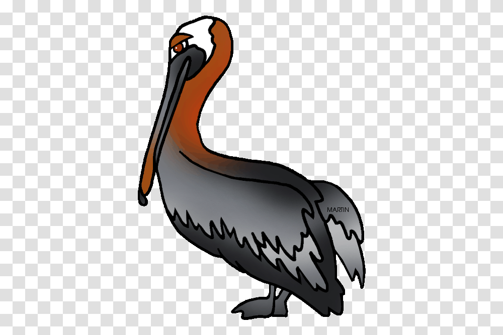 United States Clip Art By Phillip Martin Louisiana Louisiana State Brown Pelican, Bird, Animal Transparent Png