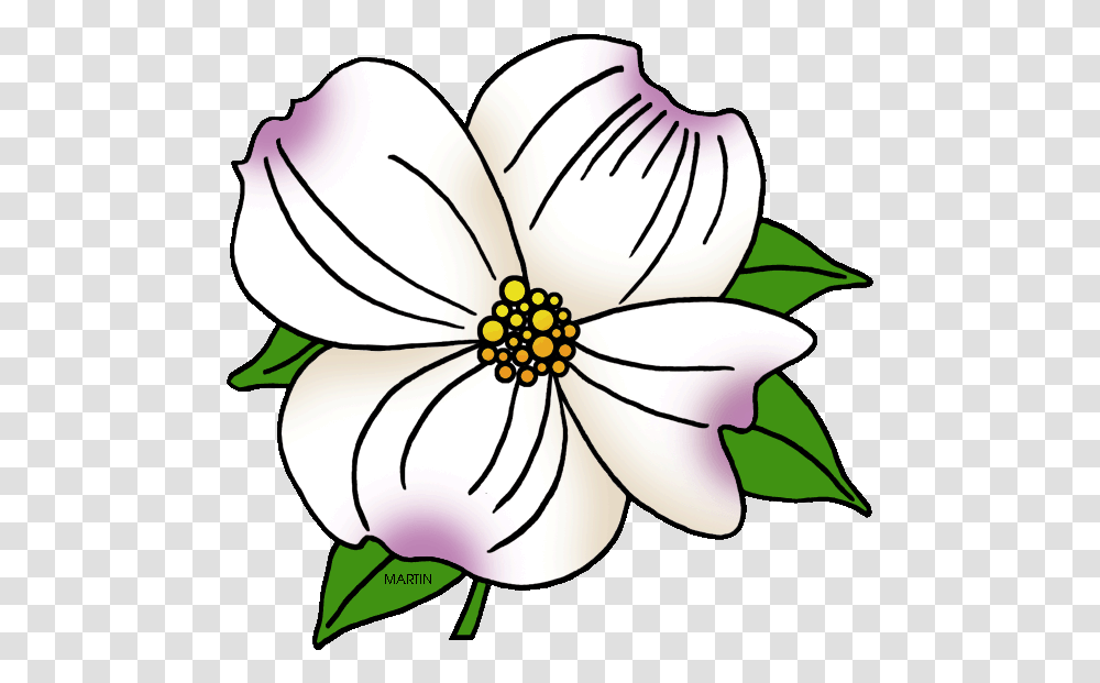 United States Clip Art By Phillip Martin North Carolina North Carolina State Flower, Plant, Blossom, Petal Transparent Png