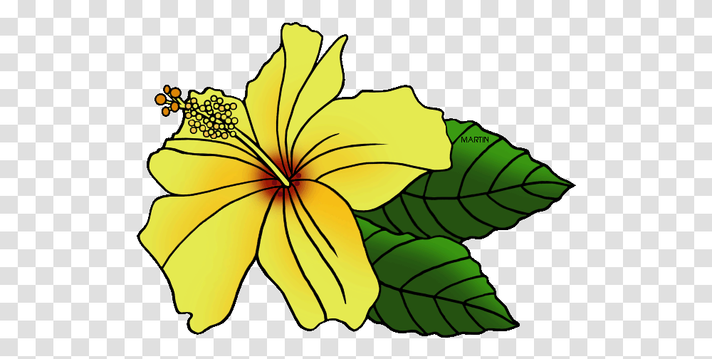 United States Clip Art By Phillip Martin State Flower Clipart Hawaii State Flower, Plant, Blossom, Petal, Leaf Transparent Png