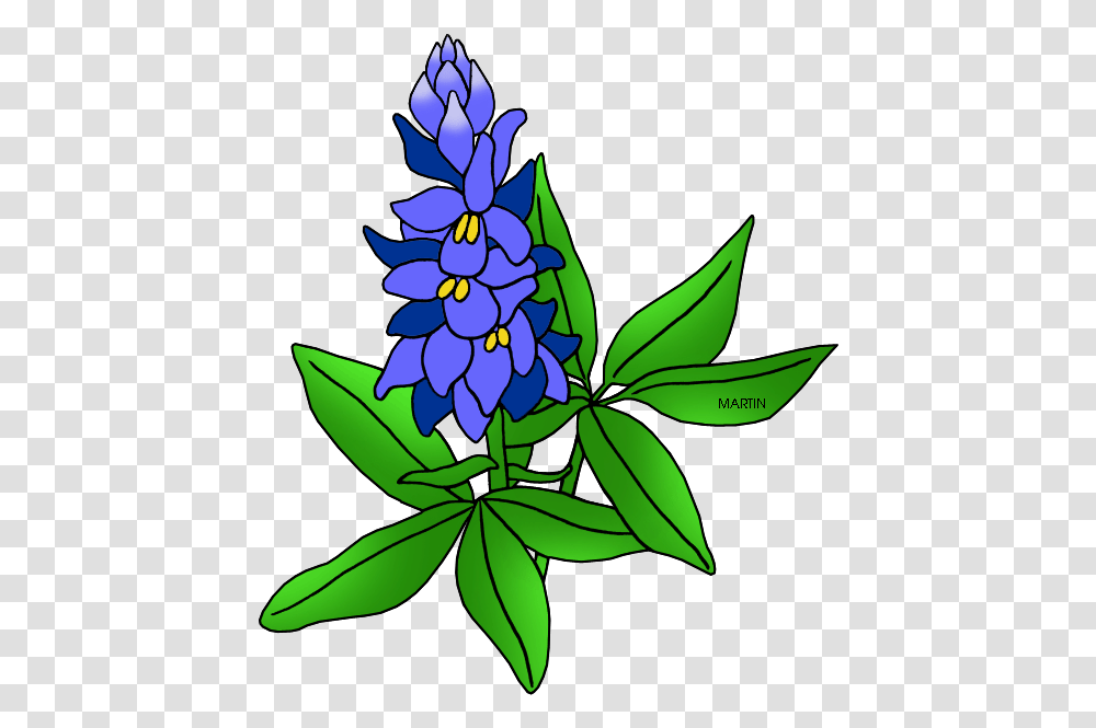United States Clip Art By Phillip Martin Texas State Bluebonnet Clipart, Floral Design, Pattern, Plant Transparent Png
