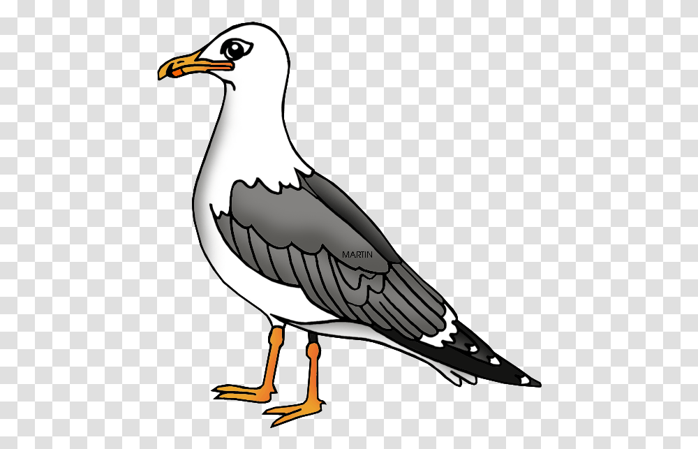 United States Clip Art By Phillip Martin Utah State Clip Art Sea Gull, Bird, Animal, Seagull, Booby Transparent Png