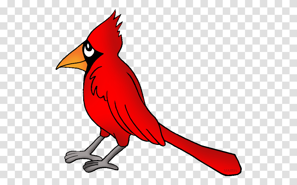 United States Clip Art By Phillip Martin Virginia State Bird Cardinal Clip Art, Animal Transparent Png