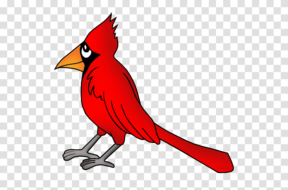 United States Clip Art, Cardinal, Bird, Animal Transparent Png