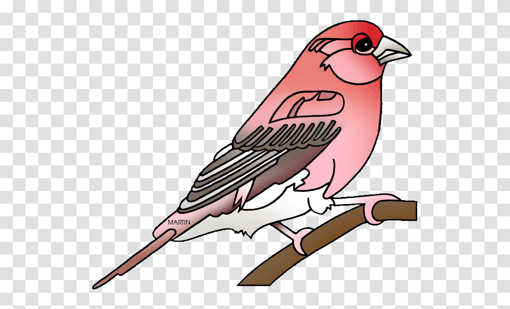 United States Clip Art, Finch, Bird, Animal, Jay Transparent Png