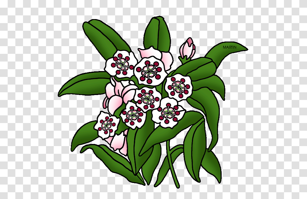 United States Clip Art, Floral Design, Pattern, Plant Transparent Png