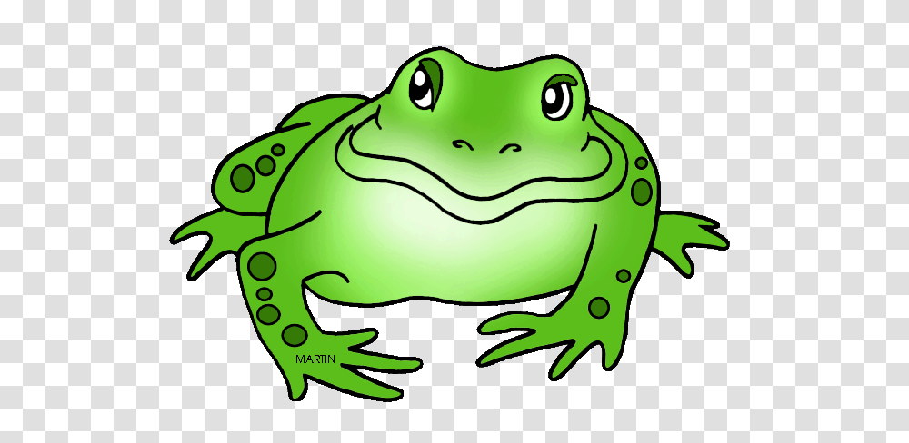 United States Clip Art, Frog, Amphibian, Wildlife, Animal Transparent Png