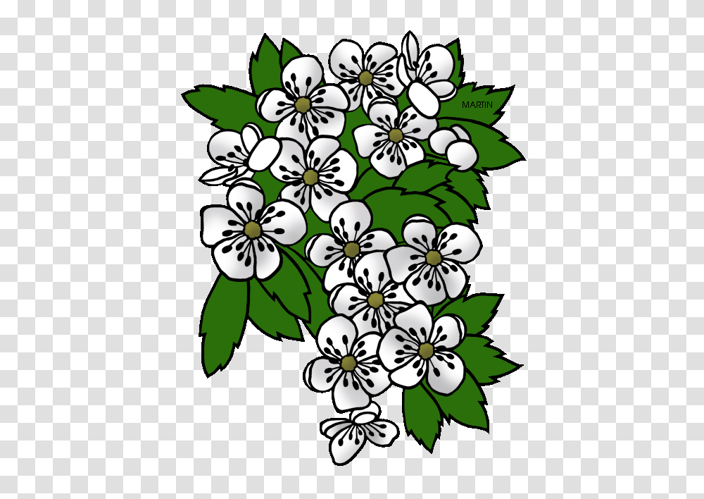 United States Clip Art, Floral Design, Pattern, Plant Transparent Png