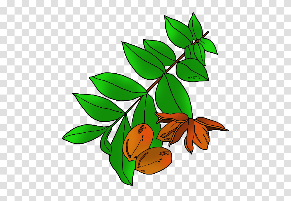 United States Clip Art, Green, Leaf, Plant Transparent Png