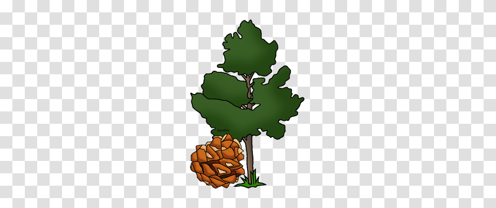 United States Clip Art, Green, Plant, Leaf, Tree Transparent Png