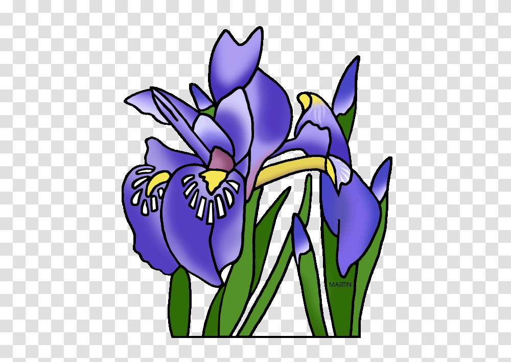 United States Clip Art, Iris, Flower, Plant, Blossom Transparent Png