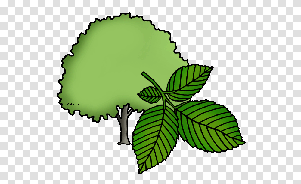 United States Clip Art, Leaf, Plant, Green, Vegetation Transparent Png