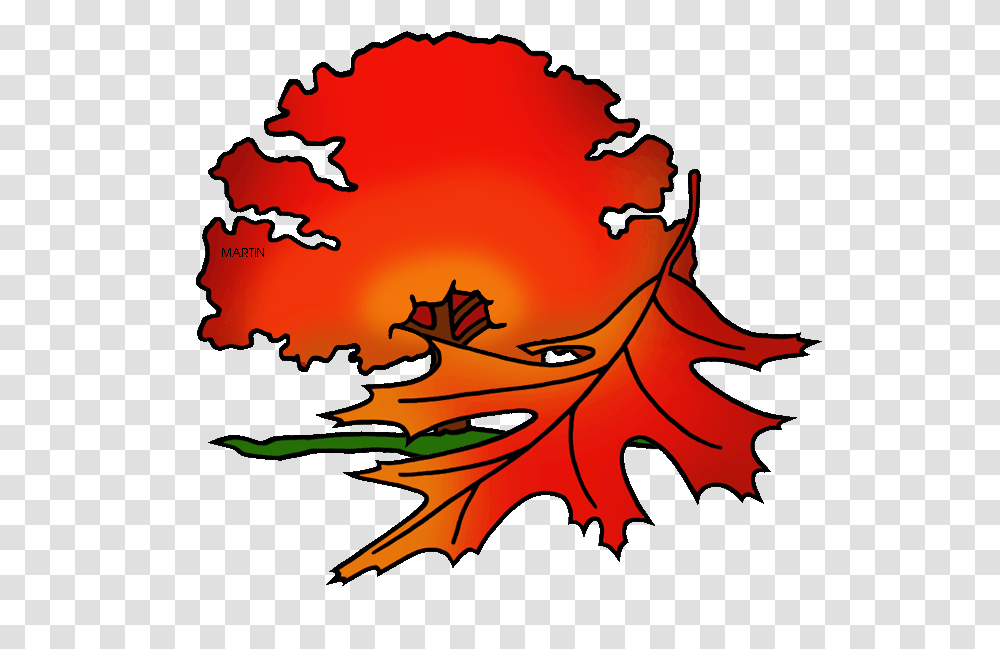 United States Clip Art, Leaf, Plant, Tree, Maple Transparent Png