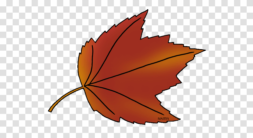 United States Clip Art, Leaf, Plant, Tree, Maple Transparent Png