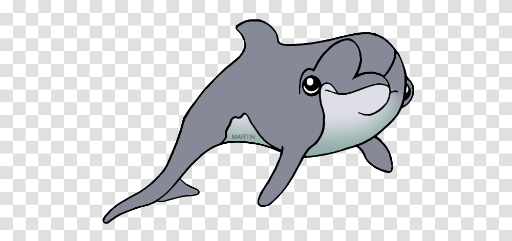 United States Clip Art, Mammal, Animal, Sea Life, Dolphin Transparent Png