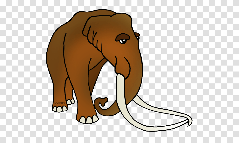 United States Clip Art, Mammal, Animal, Wildlife, Walrus Transparent Png