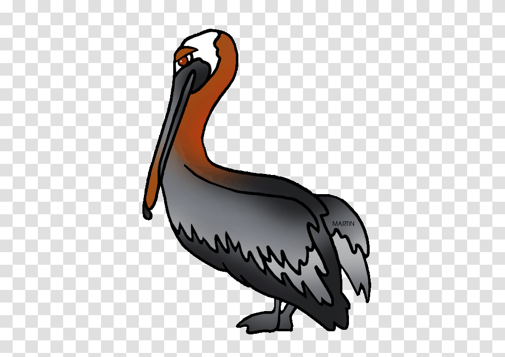 United States Clip Art, Pelican, Bird, Animal, Banana Transparent Png