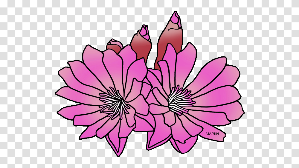 United States Clip Art, Petal, Flower, Plant, Blossom Transparent Png