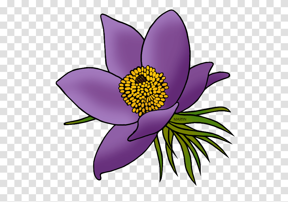 United States Clip Art, Plant, Flower, Anther, Pollen Transparent Png