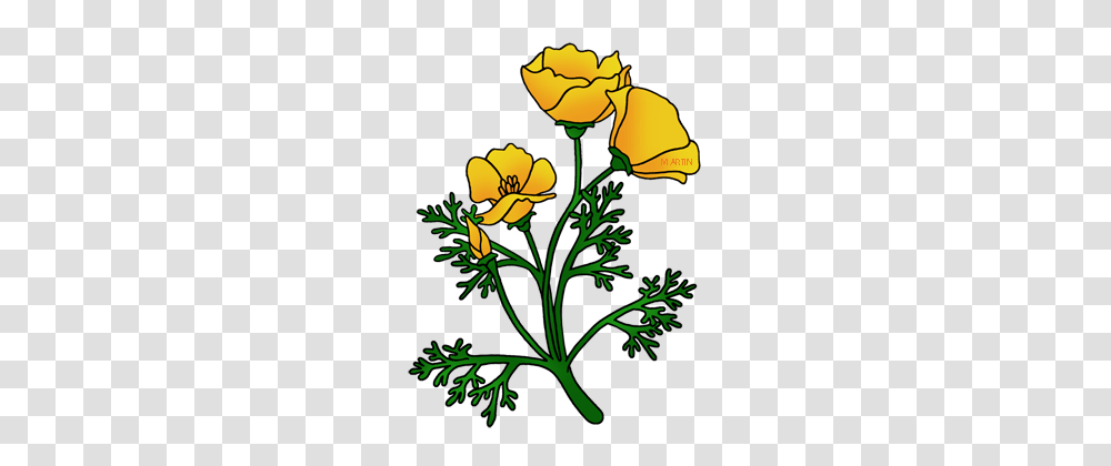 United States Clip Art, Plant, Flower, Blossom, Daffodil Transparent Png