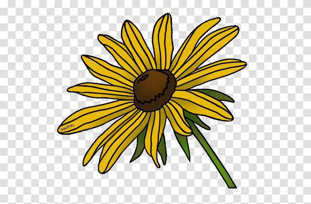 United States Clip Art, Plant, Flower, Blossom, Daisy Transparent Png