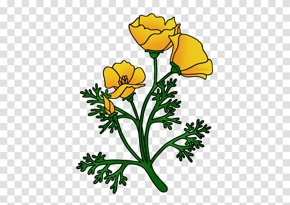 United States Clip Art, Plant, Flower, Blossom, Daisy Transparent Png