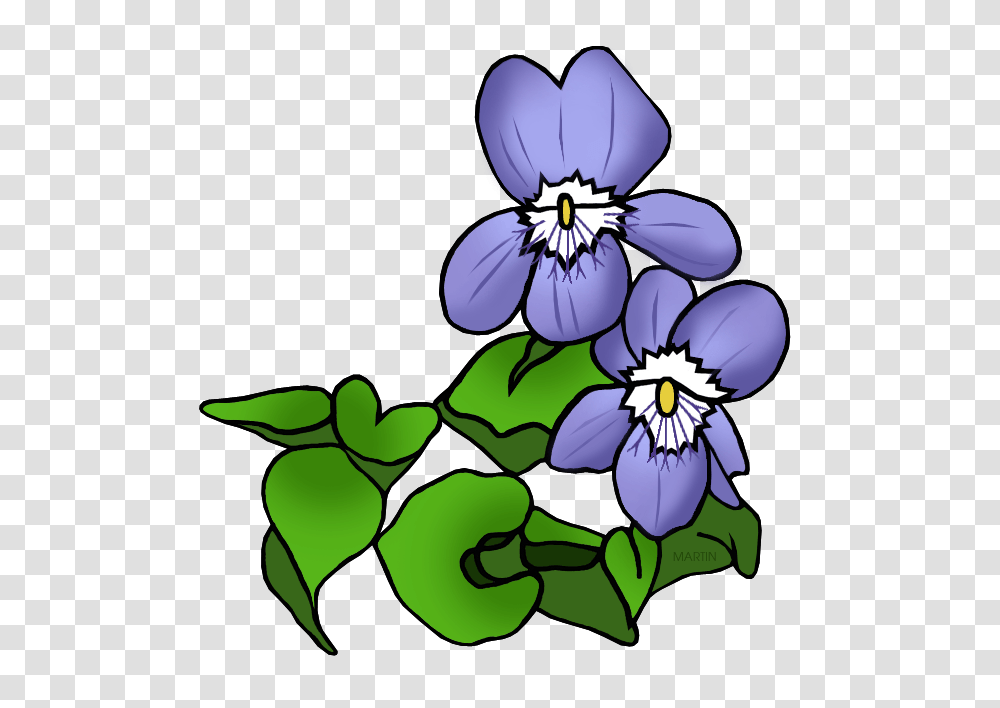 United States Clip Art, Plant, Flower, Blossom, Pansy Transparent Png