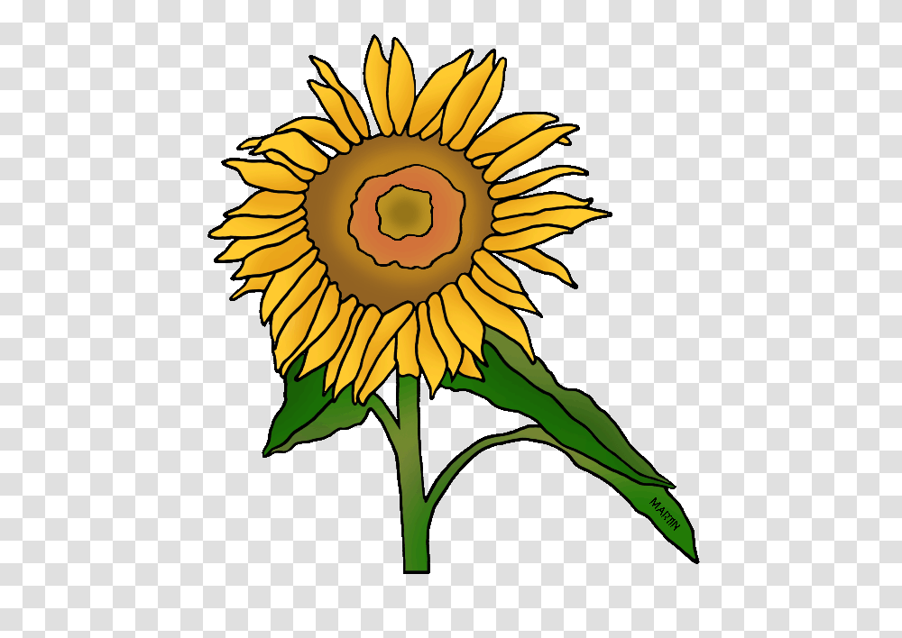 United States Clip Art, Plant, Flower, Blossom, Sunflower Transparent Png