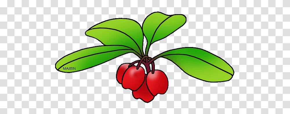 United States Clip Art, Plant, Fruit, Food, Leaf Transparent Png
