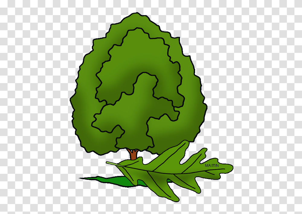 United States Clip Art, Plant, Green, Food, Leaf Transparent Png