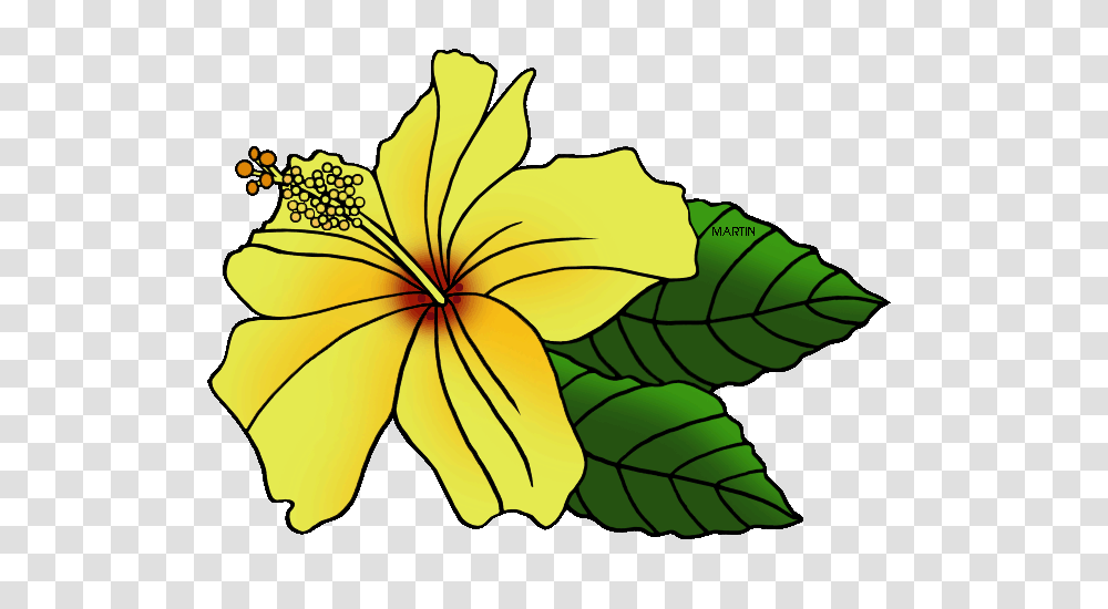 United States Clip Art, Plant, Leaf, Flower, Petal Transparent Png