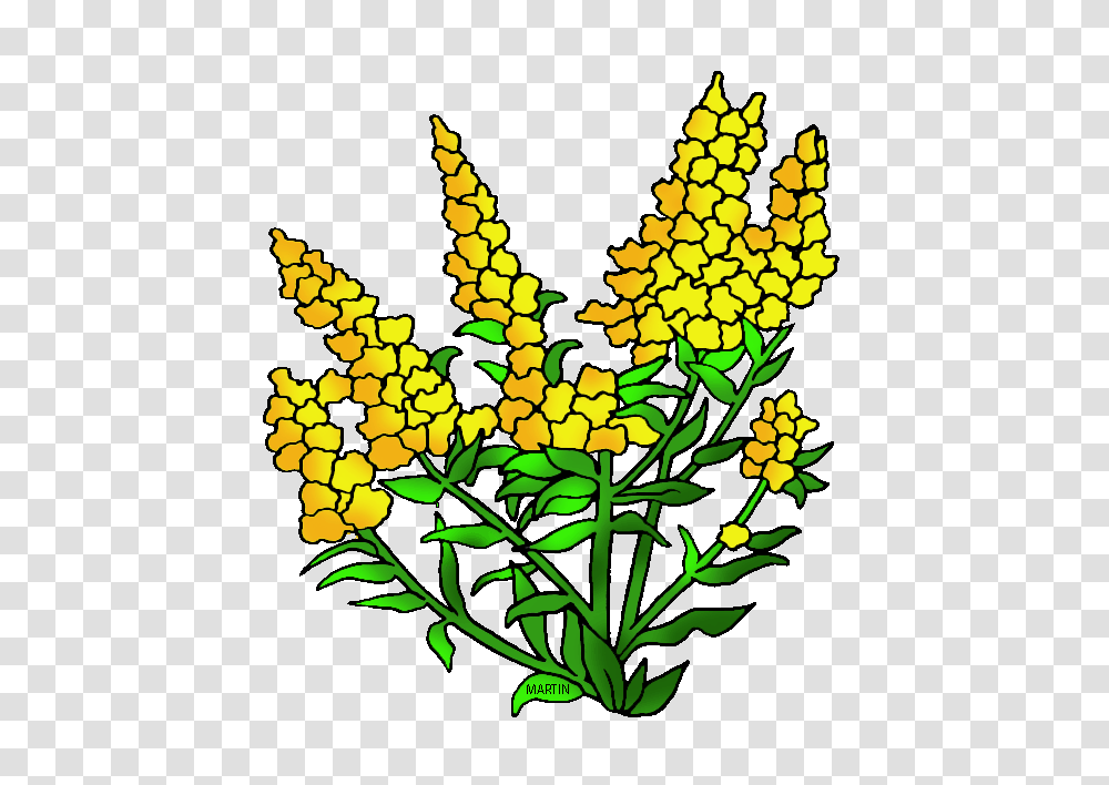 United States Clip Art, Plant, Leaf, Wasp, Food Transparent Png