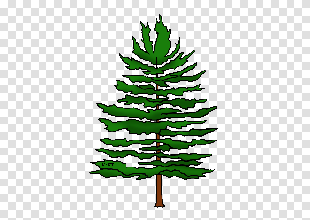 United States Clip Art, Tree, Plant, Fir, Abies Transparent Png