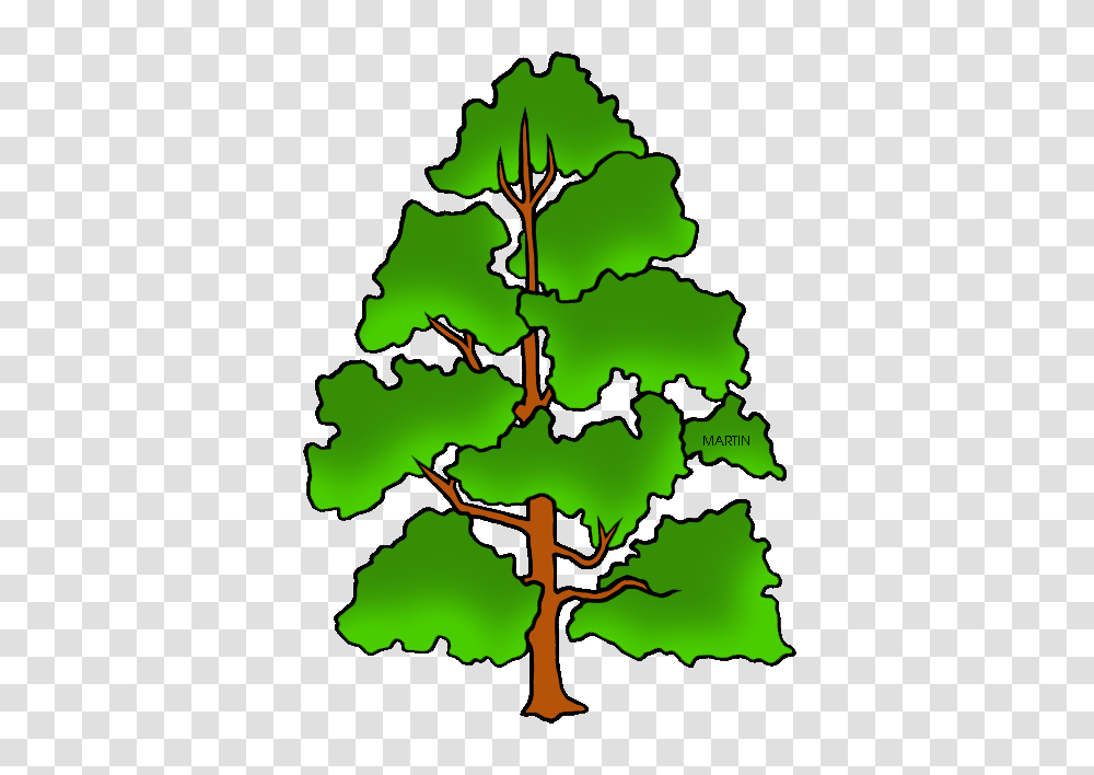 United States Clip Art, Tree, Plant, Oak, Sycamore Transparent Png
