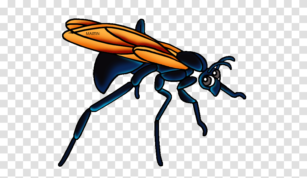 United States Clip Art, Wasp, Bee, Insect, Invertebrate Transparent Png