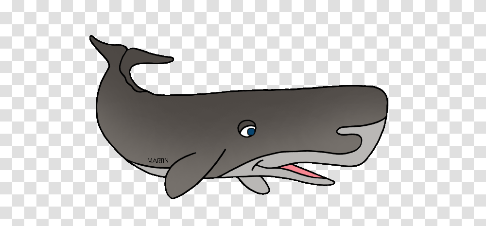 United States Clip Art, Whale, Mammal, Sea Life, Animal Transparent Png