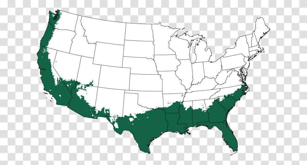 United States Map, Diagram, Atlas, Plot Transparent Png