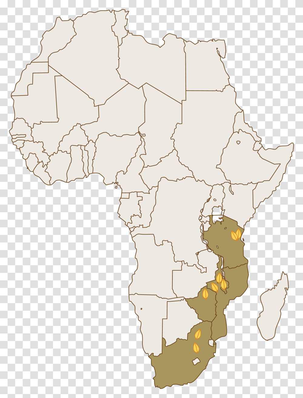 Universal Leaf South Africa Limited Family Planning In Developed And Developing Country, Map, Diagram, Atlas, Plot Transparent Png