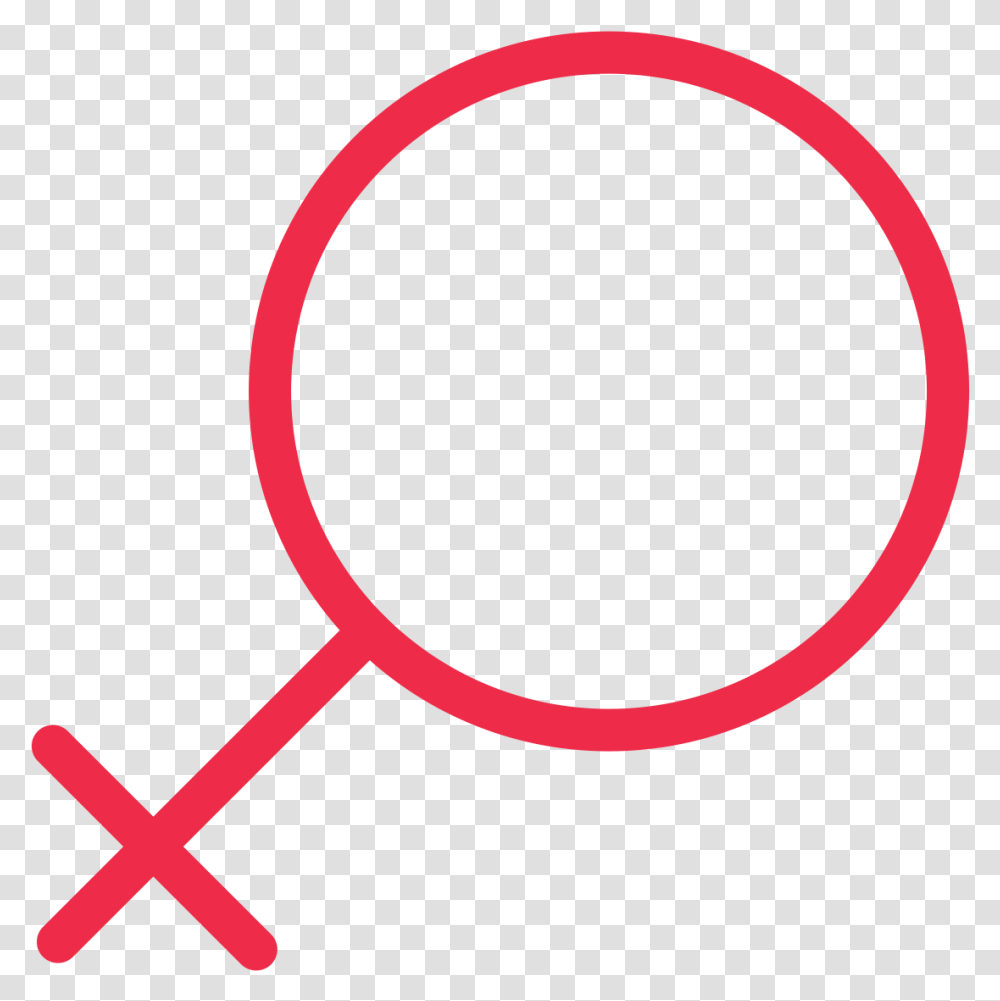 Universal Sign For Female Clipart Download Symbol Sex, Magnifying, Moon, Outer Space, Night Transparent Png