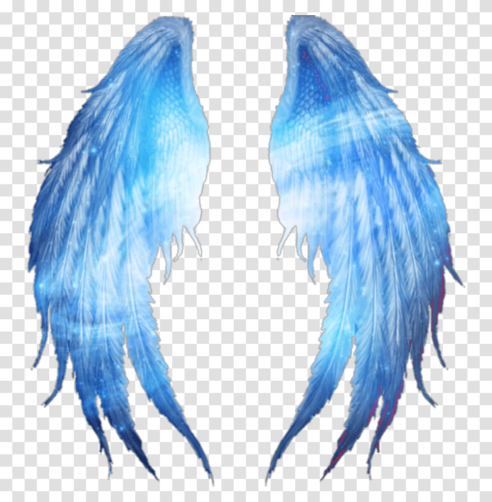 Universe Wings Wing Blue Instagram Swirl Swirls Universe Wings, Bird, Animal, Sea Life, Nature Transparent Png